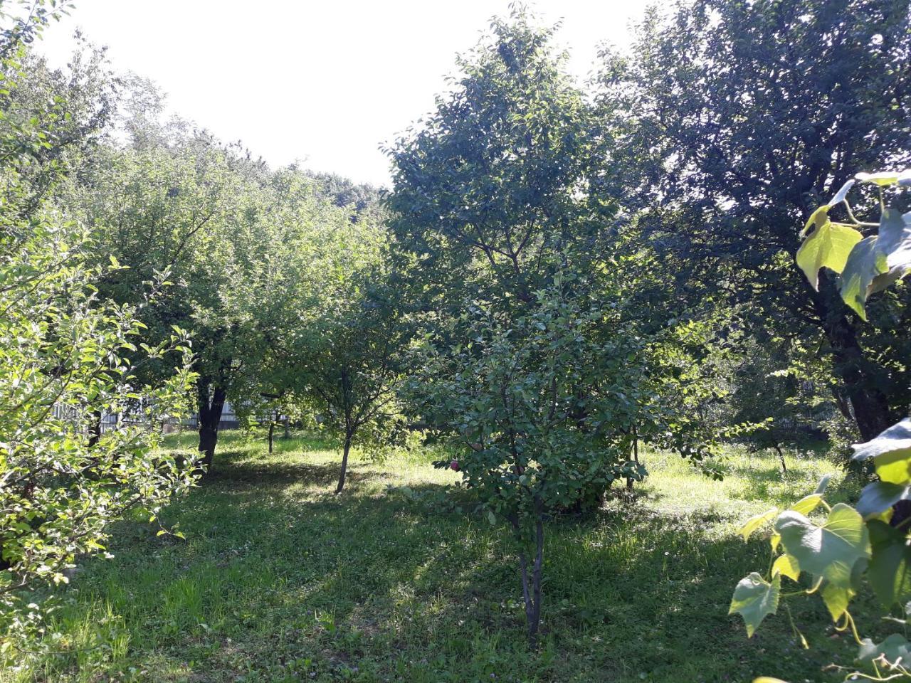 Котедж "Лісовий Затишок" Glubokoye ภายนอก รูปภาพ