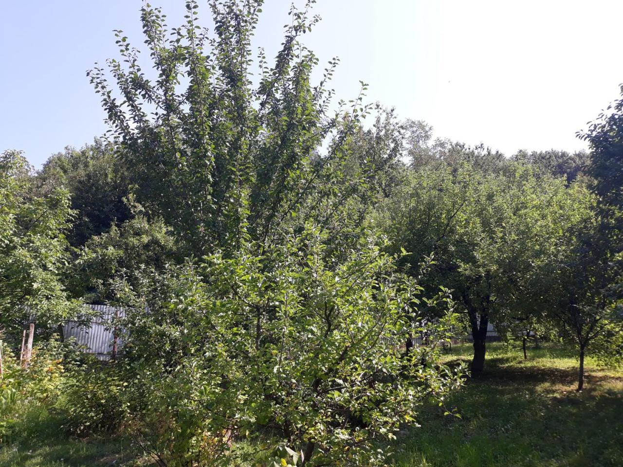 Котедж "Лісовий Затишок" Glubokoye ภายนอก รูปภาพ